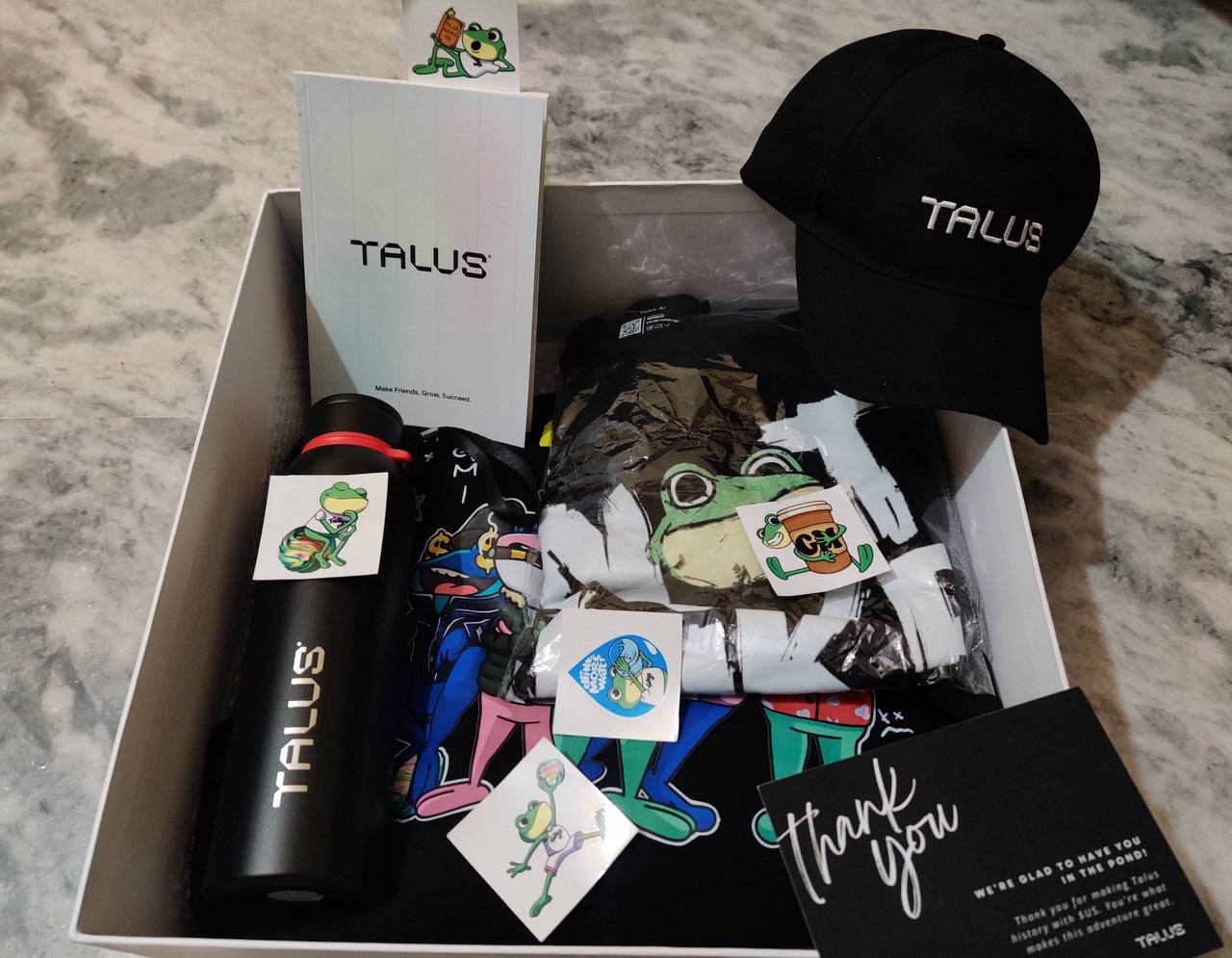 Talus branded merch gift box
